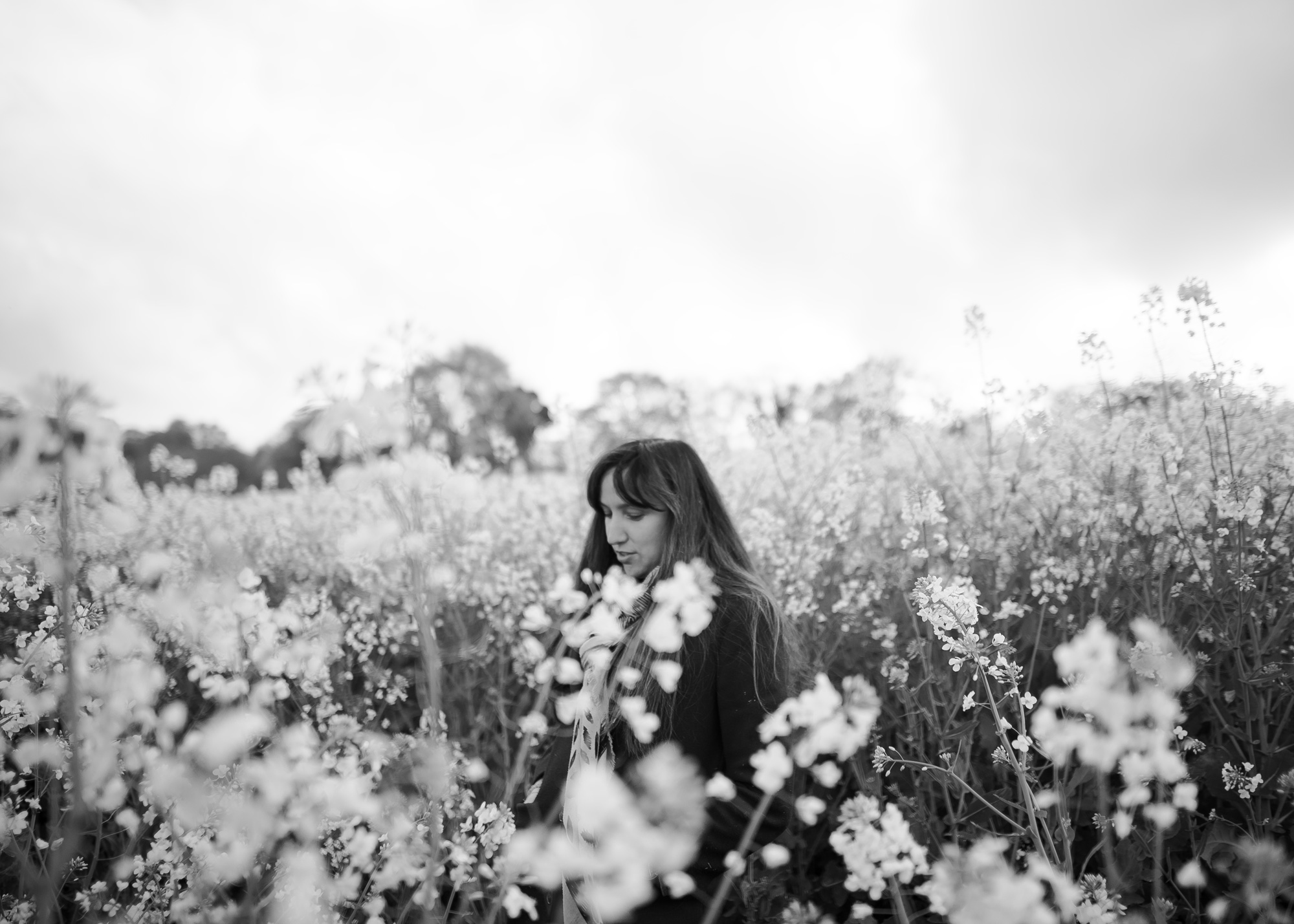 Portrait romantique en noir et blanc d'une femme se promenant dans un champ